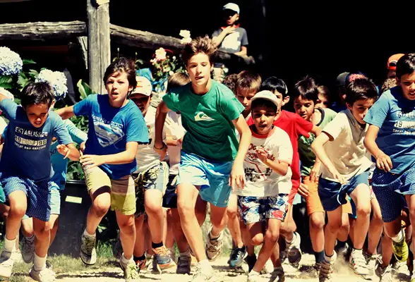 Cause Photo